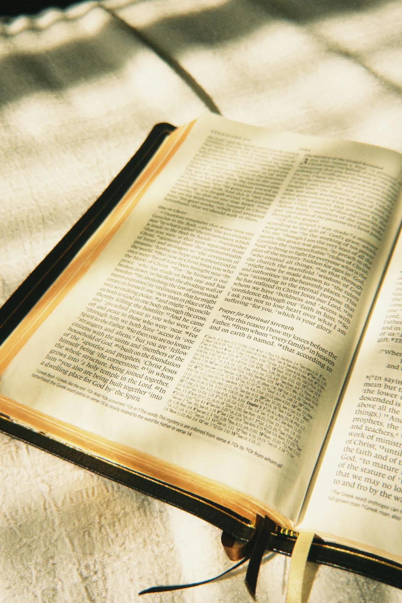 An open Bible with morning light coming through the window